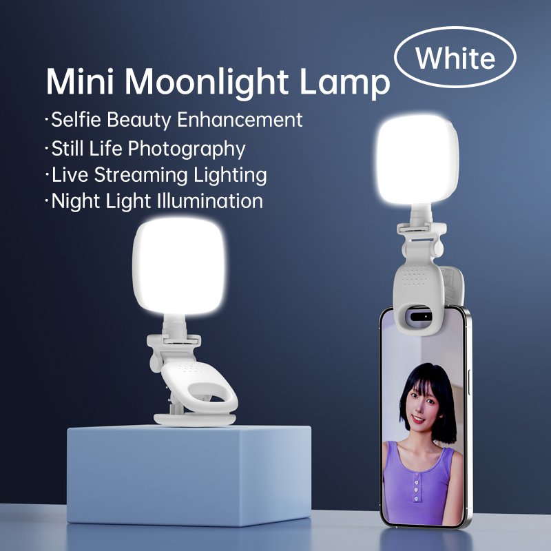 المحمولة LED Selfie ضوء كاميرا - مراجعة Photography Lighting Professional وسعره